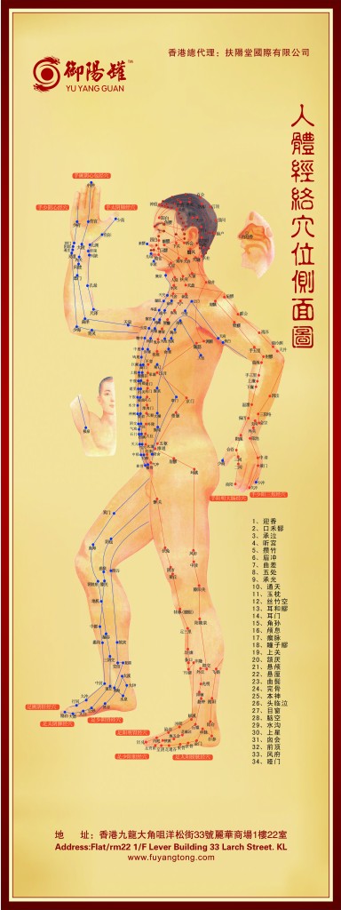 X展架穴位图3-0.6X1.6M